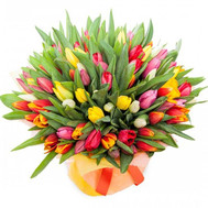 A beautiful bouquet of 101 tulips