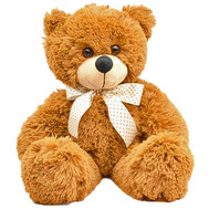 Cute Teddy Bear
