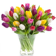 Amazing bouquet of tulips
