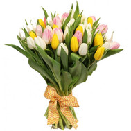 Spring tulips in a bouquet