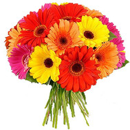 Round bouquet of gerberas