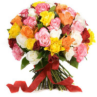 41 multi-colored rose