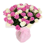 55 white and pink roses