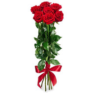 7 red roses 80 cm