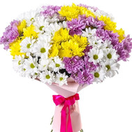 Multicolored bouquet of chrysanthemums