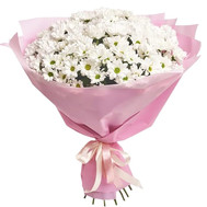 Bouquet of white chrysanthemums