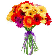 Bouquet of gerberas Cherkasy