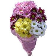 Bouquet of chrysanthemums Cherkassy
