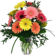 Bouquet of gerberas with verdure