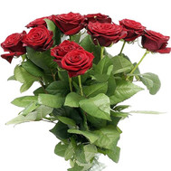 Bouquet of red roses Cherkassy
