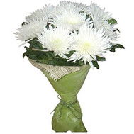 Bouquet of single chrysanthemums