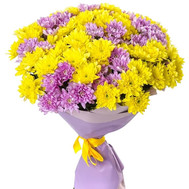 Bouquet of multicolored chrysanthemums