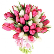 Bouquet of tulips Cherkassy