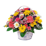 Basket of chrysanthemum flowers