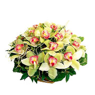 Basket of flowers from orchids