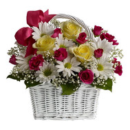 Basket of chrysanthemums and roses