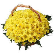 Chrysanthemum Flower Basket