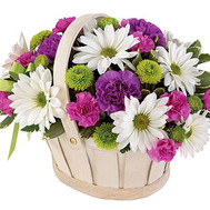 Chrysanthemum Basket