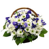 Chrysanthemum Basket