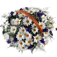 Basket of chrysanthemum and chrysanthemums