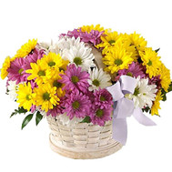 Basket of multi-colored chrysanthemums