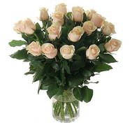 Cream roses in a bouquet