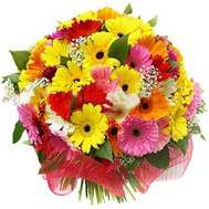 Buy Gerberas Cherkasy