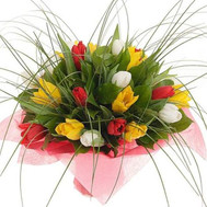 Buy tulips from Cherkassy