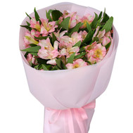 Buy Alstroemeria Cherkasy