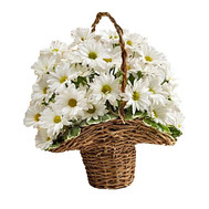 A small basket of chrysanthemums