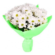 A small bouquet of whites chrysanthemums