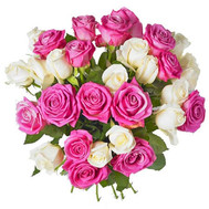 Delicate bouquet of white and pink roses