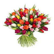 A huge bouquet of tulips