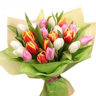 Tulips with delivery to Cherkassy