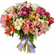 Bright bouquet of alstroemerias