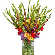 35 gladiolus in a bouquet