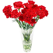 Carnations in a bouquet