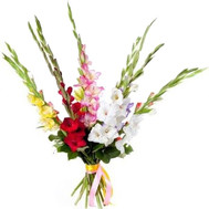 Small bouquet gladiolus