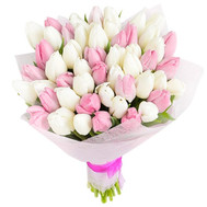 Delicate bouquet of tulips