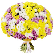 101 chrysanthemum in the bouquet