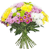 25 multi-colored chrysanthemums