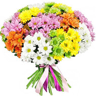 35 spray chrysanthemums