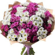 Bouquet of 45 chrysanthemums