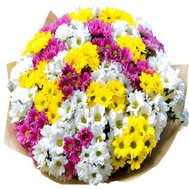 Mixed bouquet of chrysanthemums