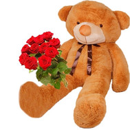 Huge Teddy bear and roses
