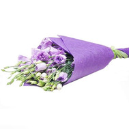 11 violet eustoma in paper