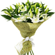 21 white lily