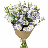 21 eustoma in fashion design