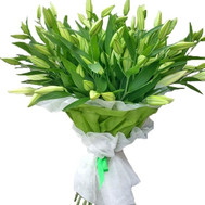 25 white lilies