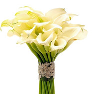 25 callas in bouquet